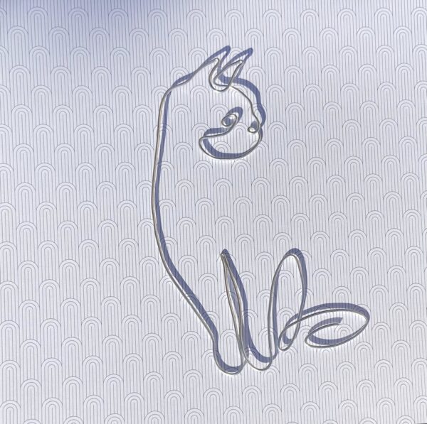 Syl’Line – Chat curieux