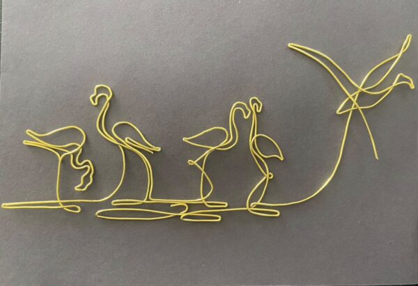 Syl’Line – Les Flamants Roses de Camargue